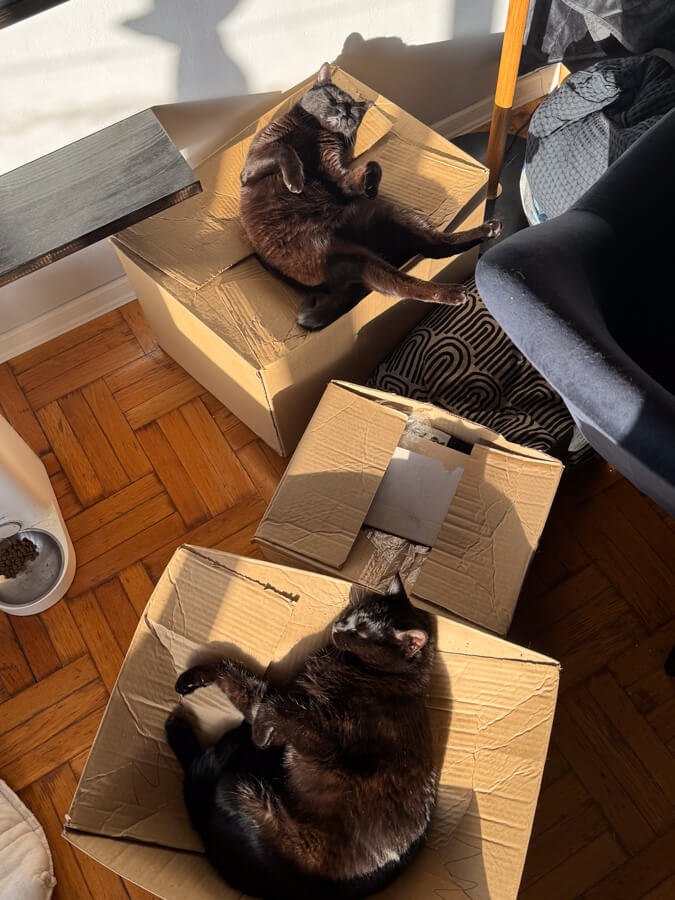 Чорапи Purrs — снимка от галерията